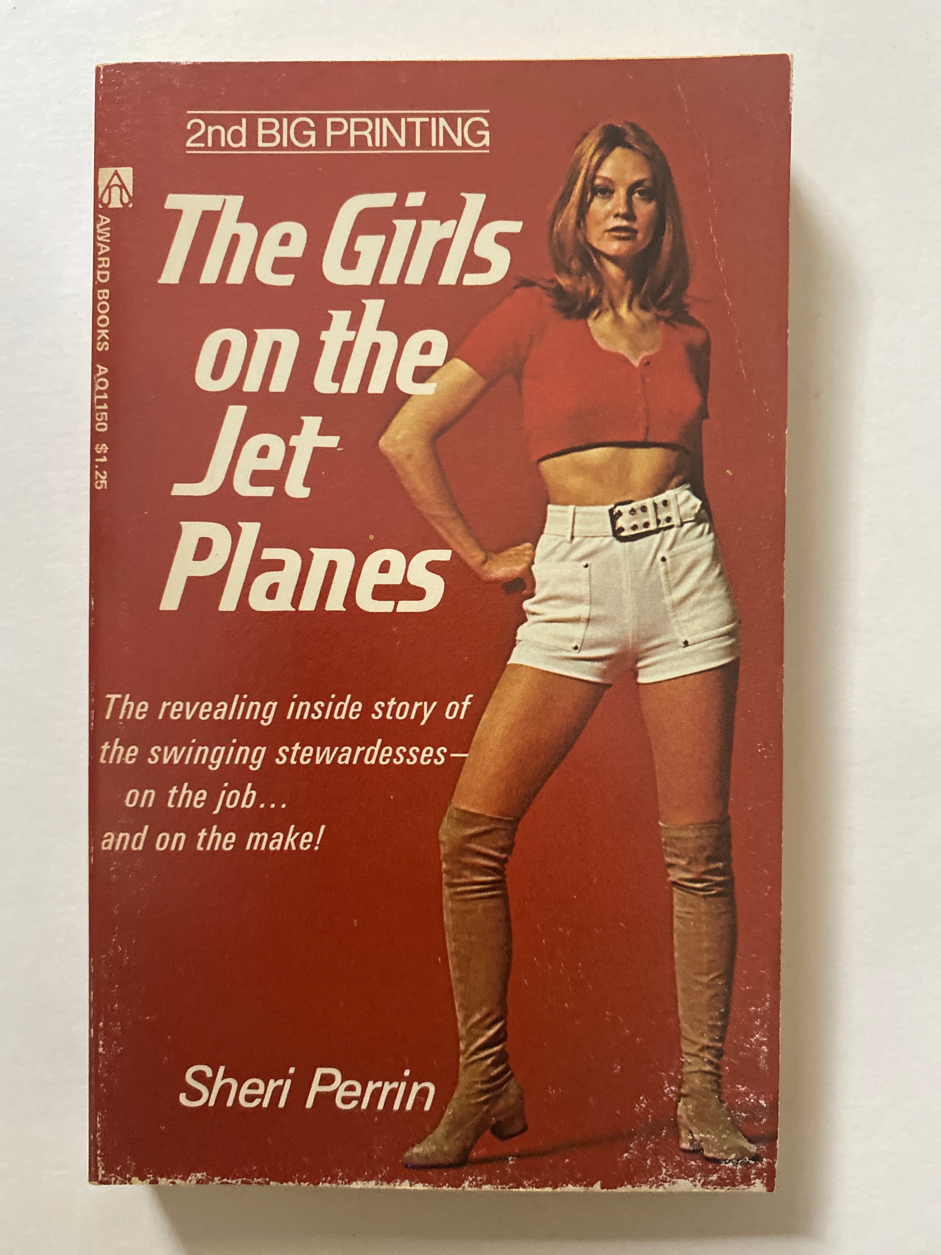 The Girls on the Jet Planes by Sheri Perrin RARE HARD TO FIND